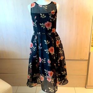 Mint Condition Adriana Papell Fit & Flare